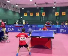 乒乓球大奖赛，川蜀铁骑队与泰山海豚队鏖战，VAR改判成焦点！客场静默反击的简单介绍