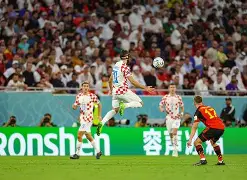 犹他爵士训练开放日；国际比赛日扳平良机引欢呼；社区盾在即；医务组通报恢复的简单介绍